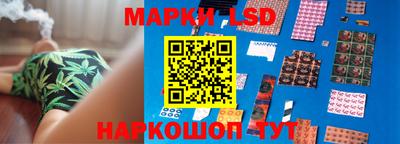 эйфоретик Гай
