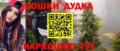 эйфоретик Гай