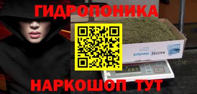 индика Гагарин