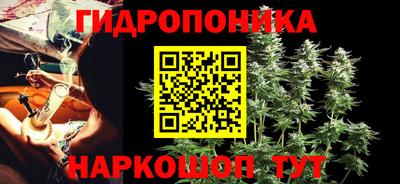 эйфоретик Гай