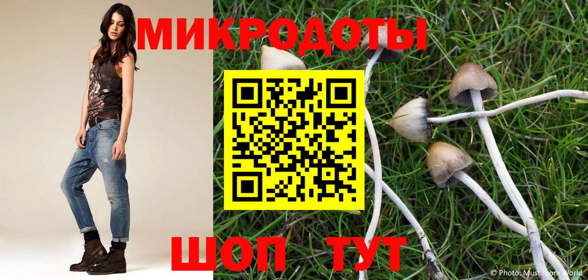 Галлюциногенные грибы прущие грибы Муравленко