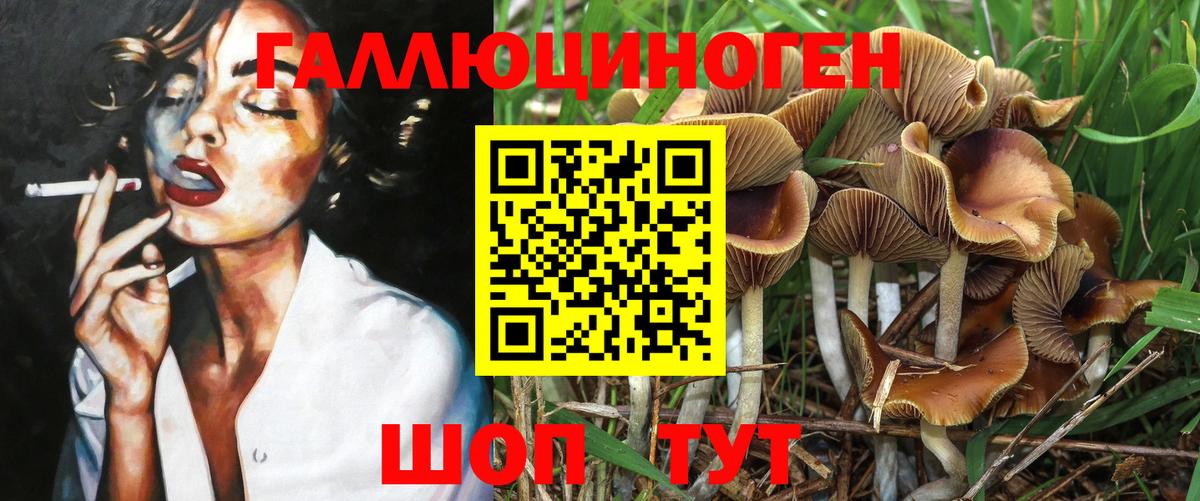 Муравленко  Псилоцибиновые грибы Psilocybe  Вход с VPN 